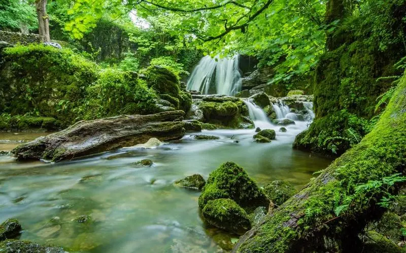 智慧可靠性高性能